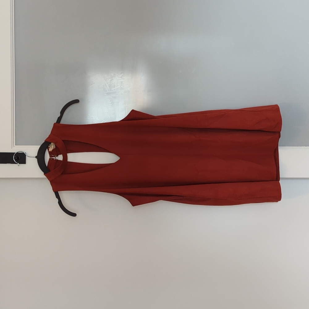 Vida knit mini dress rust